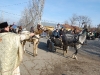 DSC_4977.JPG